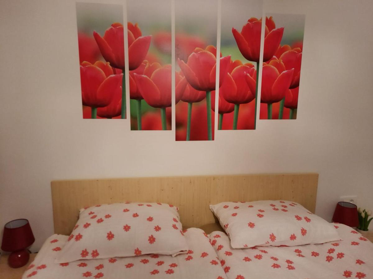 Apartma Rozle Mojstrana Εξωτερικό φωτογραφία